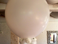 Large White Balloon with Rose detail - Weddings