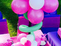 Pink & Puple Theme Party Decor