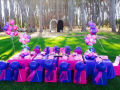 Purple & Pink Party at Winery Road Forest